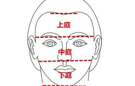 面相 上庭 中庭 下庭|面相学中的三庭，都各自代表怎样的命运？